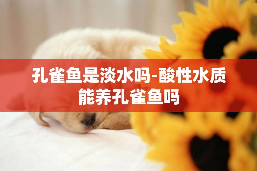 孔雀魚是淡水嗎-酸性水質能養孔雀魚嗎