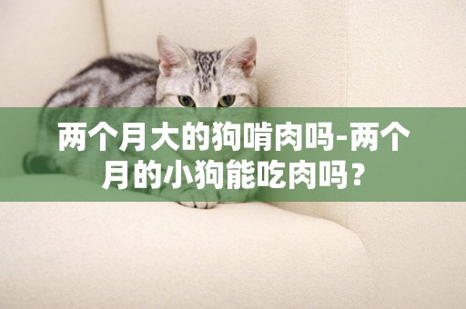 兩個月大的狗啃肉嗎-兩個月的小狗能吃肉嗎？