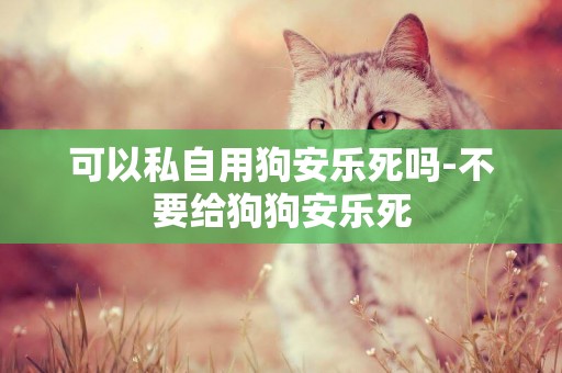 可以私自用狗安樂死嗎-不要給狗狗安樂死