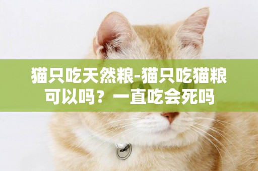 貓只吃天然糧-貓只吃貓糧可以嗎？一直吃會死嗎