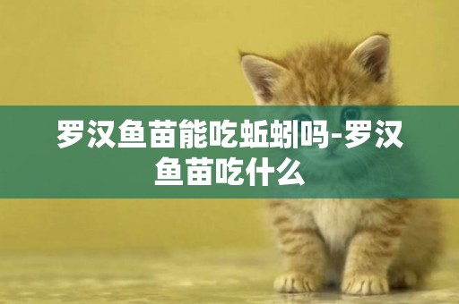 羅漢魚苗能吃蚯蚓嗎-羅漢魚苗吃什么