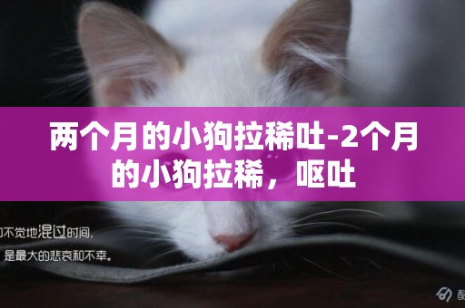 兩個月的小狗拉稀吐-2個月的小狗拉稀，嘔吐
