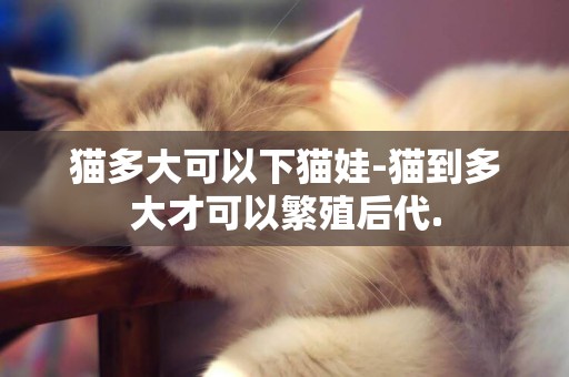 貓多大可以下貓娃-貓到多大才可以繁殖后代.
