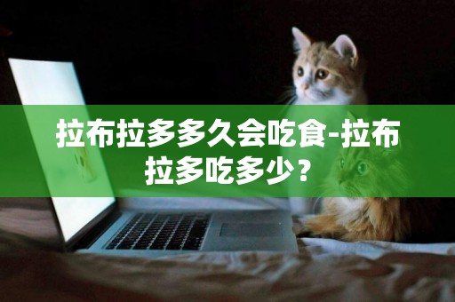 拉布拉多多久會吃食-拉布拉多吃多少？