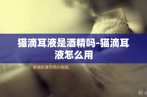 貓滴耳液是酒精嗎-貓滴耳液怎么用