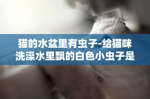 貓的水盆里有蟲子-給貓咪洗澡水里飄的白色小蟲子是怎么回事？
