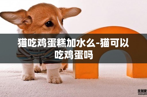 貓吃雞蛋糕加水么-貓可以吃雞蛋嗎