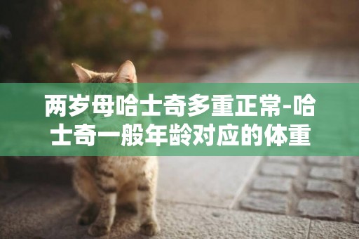 兩歲母哈士奇多重正常-哈士奇一般年齡對應的體重