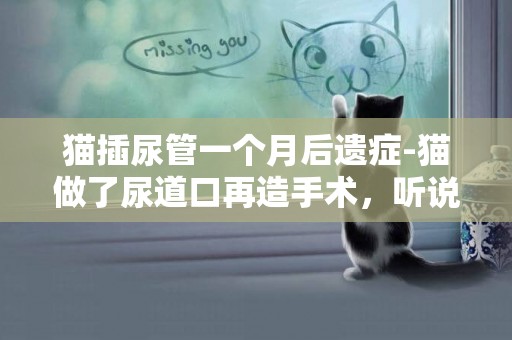 貓插尿管一個月后遺癥-貓做了尿道口再造手術，聽說這種手術有后遺癥，有人了解嗎