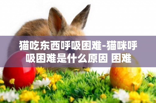 貓吃東西呼吸困難-貓咪呼吸困難是什么原因 困難