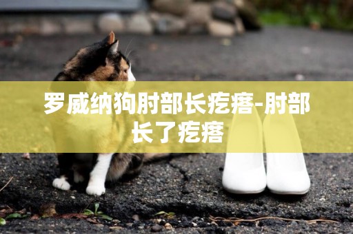 羅威納狗肘部長疙瘩-肘部長了疙瘩