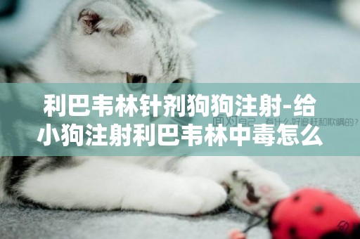 利巴韋林針劑狗狗注射-給小狗注射利巴韋林中毒怎么辦