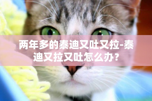 兩年多的泰迪又吐又拉-泰迪又拉又吐怎么辦？