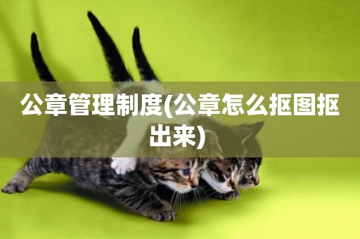 公章管理制度(公章怎么摳圖摳出來) 