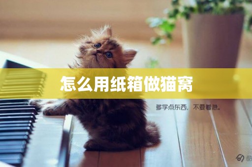 怎么用紙箱做貓窩