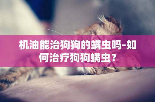 機油能治狗狗的螨蟲嗎-如何治療狗狗螨蟲？