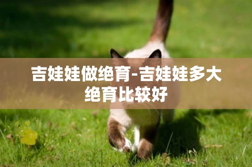 吉娃娃做絕育-吉娃娃多大絕育比較好