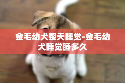 金毛幼犬整天睡覺-金毛幼犬睡覺睡多久