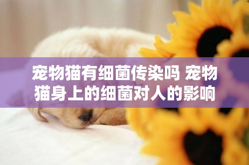 寵物貓有細菌傳染嗎 寵物貓身上的細菌對人的影響