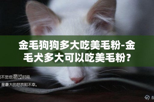金毛狗狗多大吃美毛粉-金毛犬多大可以吃美毛粉？