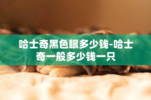 哈士奇黑色眼多少錢-哈士奇一般多少錢一只