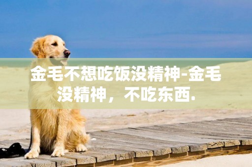 金毛不想吃飯沒精神-金毛沒精神，不吃東西.