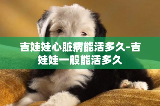 吉娃娃心臟病能活多久-吉娃娃一般能活多久
