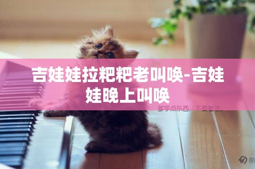 吉娃娃拉粑粑老叫喚-吉娃娃晚上叫喚