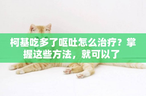 柯基吃多了嘔吐怎么治療？掌握這些方法，就可以了 