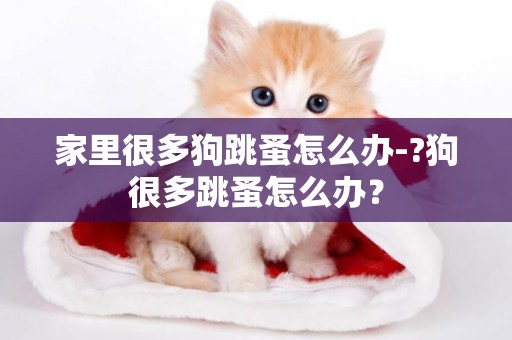 家里很多狗跳蚤怎么辦-?狗很多跳蚤怎么辦？