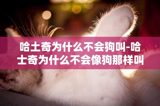 哈土奇為什么不會狗叫-哈士奇為什么不會像狗那樣叫？