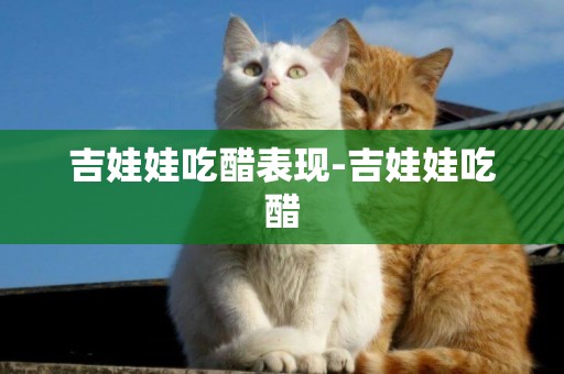 吉娃娃吃醋表現-吉娃娃吃醋