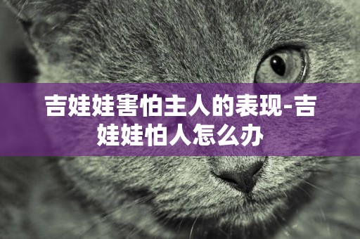 吉娃娃害怕主人的表現-吉娃娃怕人怎么辦