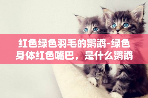 紅色綠色羽毛的鸚鵡-綠色身體紅色嘴巴，是什么鸚鵡