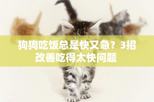 狗狗吃飯總是快又急？3招改善吃得太快問題 