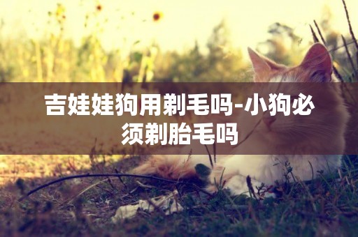 吉娃娃狗用剃毛嗎-小狗必須剃胎毛嗎