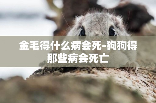 金毛得什么病會死-狗狗得那些病會死亡