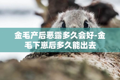 金毛產后惡露多久會好-金毛下崽后多久能出去