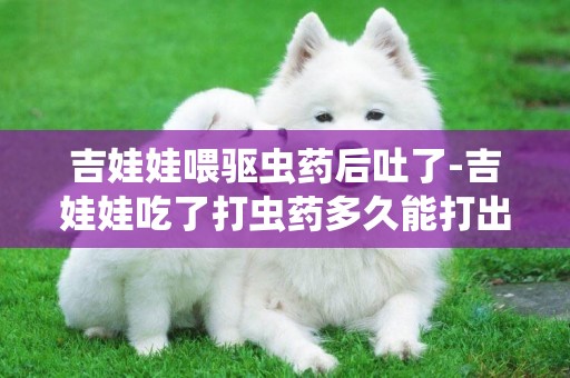吉娃娃喂驅蟲藥后吐了-吉娃娃吃了打蟲藥多久能打出蟲子
