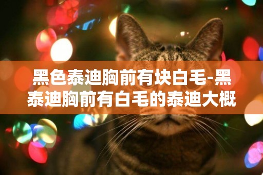 黑色泰迪胸前有塊白毛-黑泰迪胸前有白毛的泰迪大概多少錢