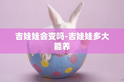 吉娃娃會變嗎-吉娃娃多大能養