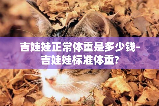 吉娃娃正常體重是多少錢-吉娃娃標準體重?