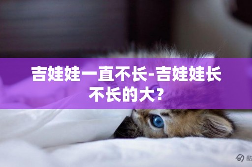 吉娃娃一直不長-吉娃娃長不長的大？