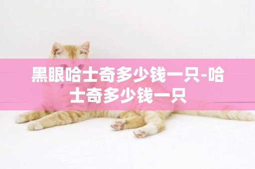 黑眼哈士奇多少錢一只-哈士奇多少錢一只