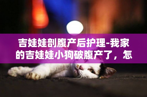 吉娃娃剖腹產后護理-我家的吉娃娃小狗破腹產了，怎么護理？越詳細越好。
