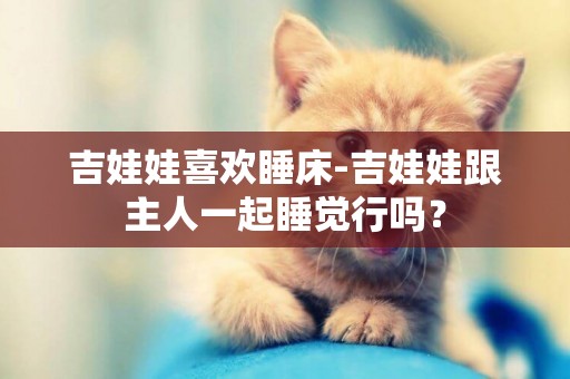 吉娃娃喜歡睡床-吉娃娃跟主人一起睡覺行嗎？