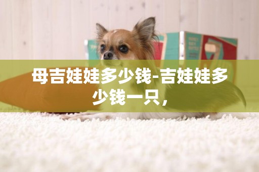 母吉娃娃多少錢-吉娃娃多少錢一只，