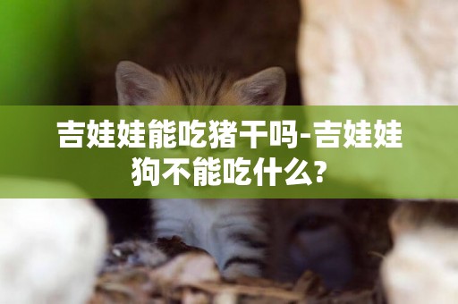 吉娃娃能吃豬干嗎-吉娃娃狗不能吃什么?
