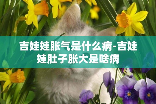 吉娃娃脹氣是什么病-吉娃娃肚子脹大是啥病