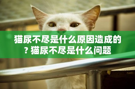 貓尿不盡是什么原因造成的? 貓尿不盡是什么問題